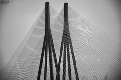 DSC_0131