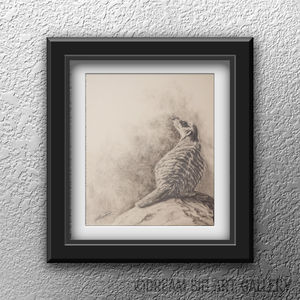 Pencil drawing of Meerkat on Rock.