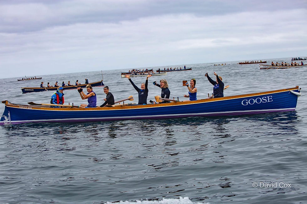 Supervets/Vets Training 