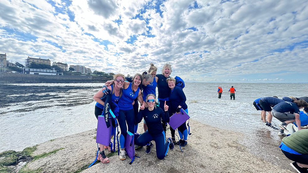 Supervets Scillies Training 