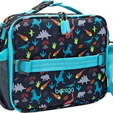 Dino lunch Bag.jpg