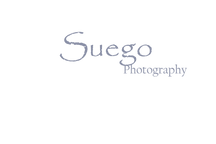 logo%20suego%20wit_edited.png