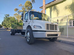 WhatsApp Image 2024-10-31 at 17.31.44