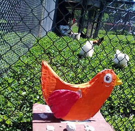 IMG-20180920-WA0065.jpg