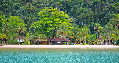 Mamanguá_Beach_Hostel_-_pé_na_areia.png