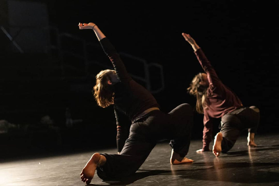 57410720_2301519010117281_7232110737550737408_n