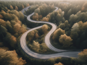 Navigating Life's Challenges: Yellow Brick Road Projects Programs