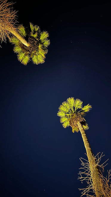 5df61943-550f-4123-b878-1607f4ba8cb5 - copia.jpg