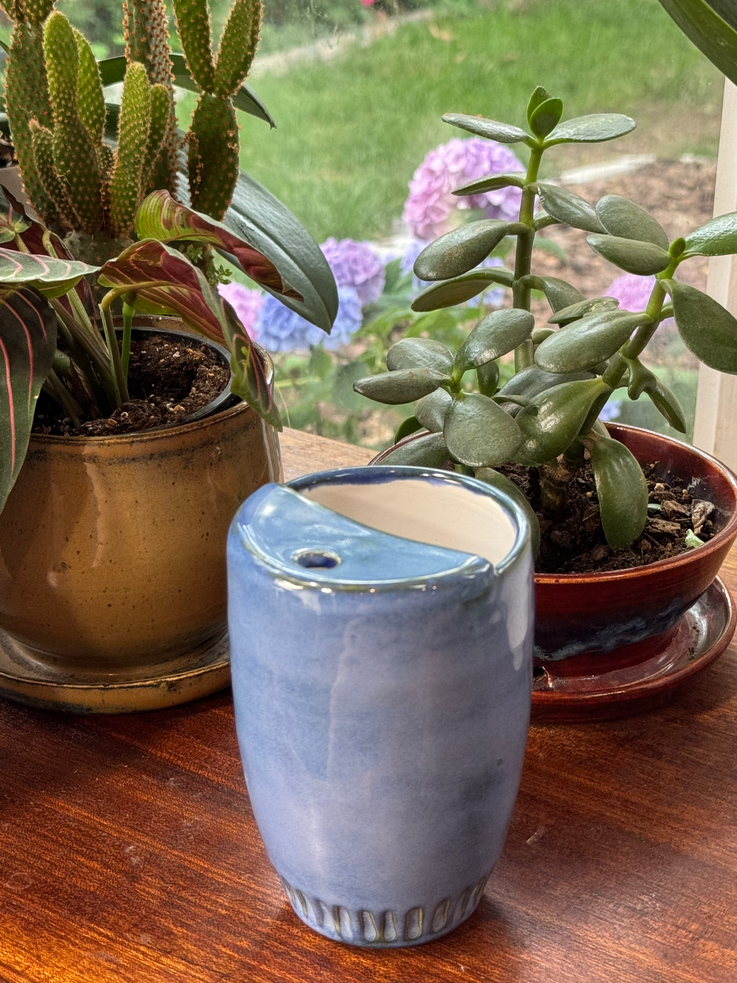 They/Them Travel Tumbler