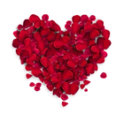 happy valentines day png.png