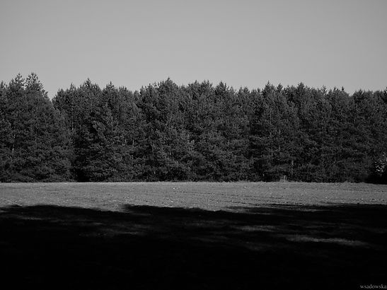 PB0887489.jpg