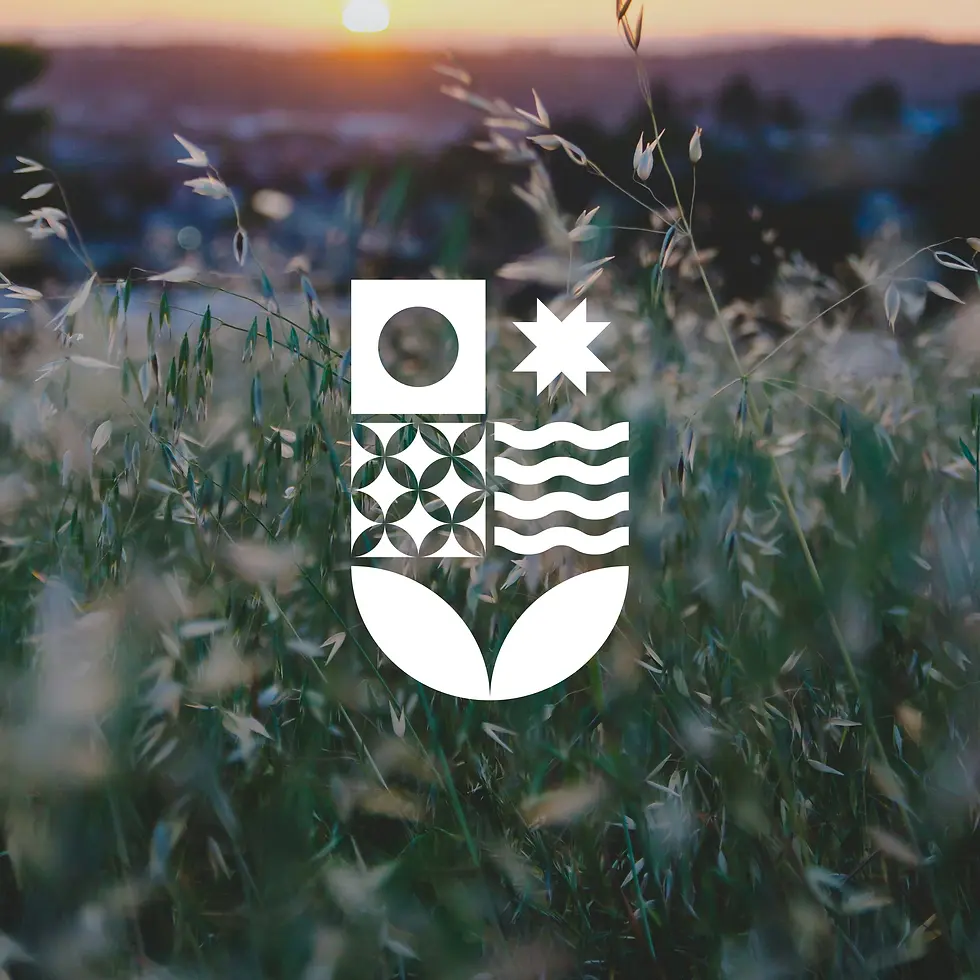 2. The image shows a shield developed for the Residencial Terra development as part of the Hogme residential identity system.