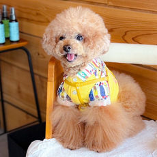 長夏の薬膳 for pets