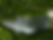 external-file_edited.png