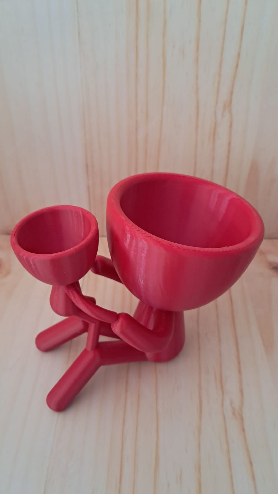 Vaso para duas Suculentas