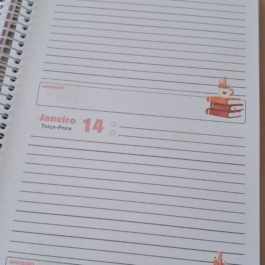 Miniatura: Planner / Agenda 2  dias por página