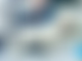 Norman 7,5 weeks old 💙