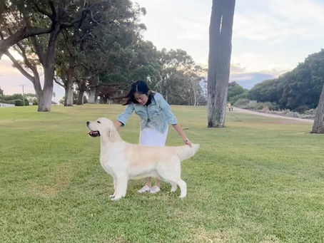 News from Down under 🥰