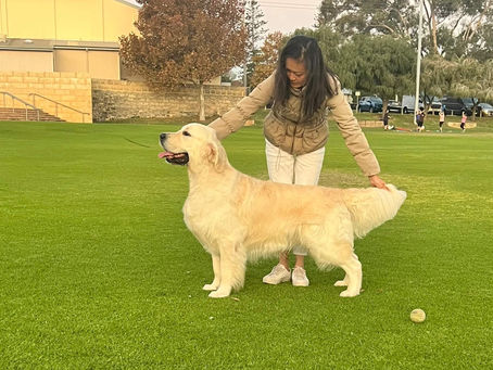 Lovely news from Australia