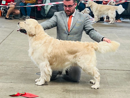 Lovely show weekend