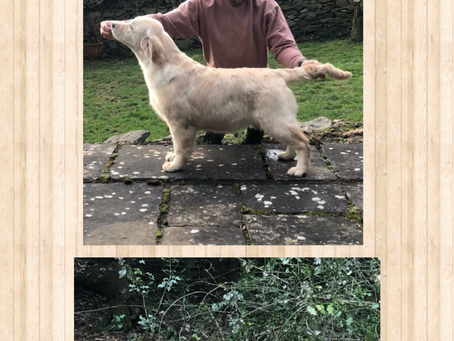 Annabelle growing up so fast 🧡