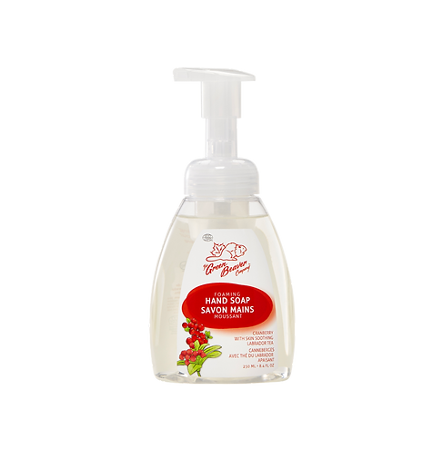 Foaming Hand Soap - Green Beaver