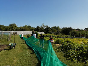 Photo un tour au jardin