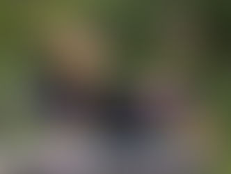 Cebu Day Tour Packages - Cebu Travel and Tours, Book Two Tours Big Discount‎, Nights in Cebu with Tr