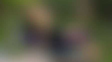 Cebu Day Tour Packages - Cebu Travel and Tours, Book Two Tours Big Discount, Nights in Cebu with Tr