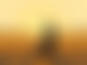 What Lights You Up? Purpose, Paychecks, and Practicing Discernment