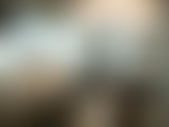 Mannheim Full-Time MBA Program