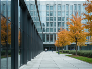 Why Study MBA in Toronto: Top Reasons and Programs