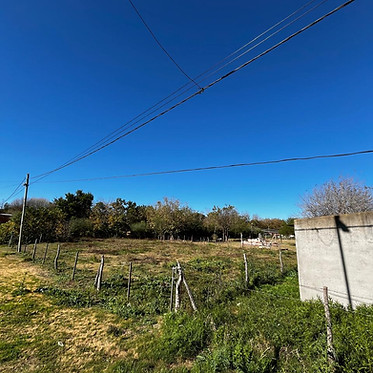 TERRENO ARGENTINO.jpg