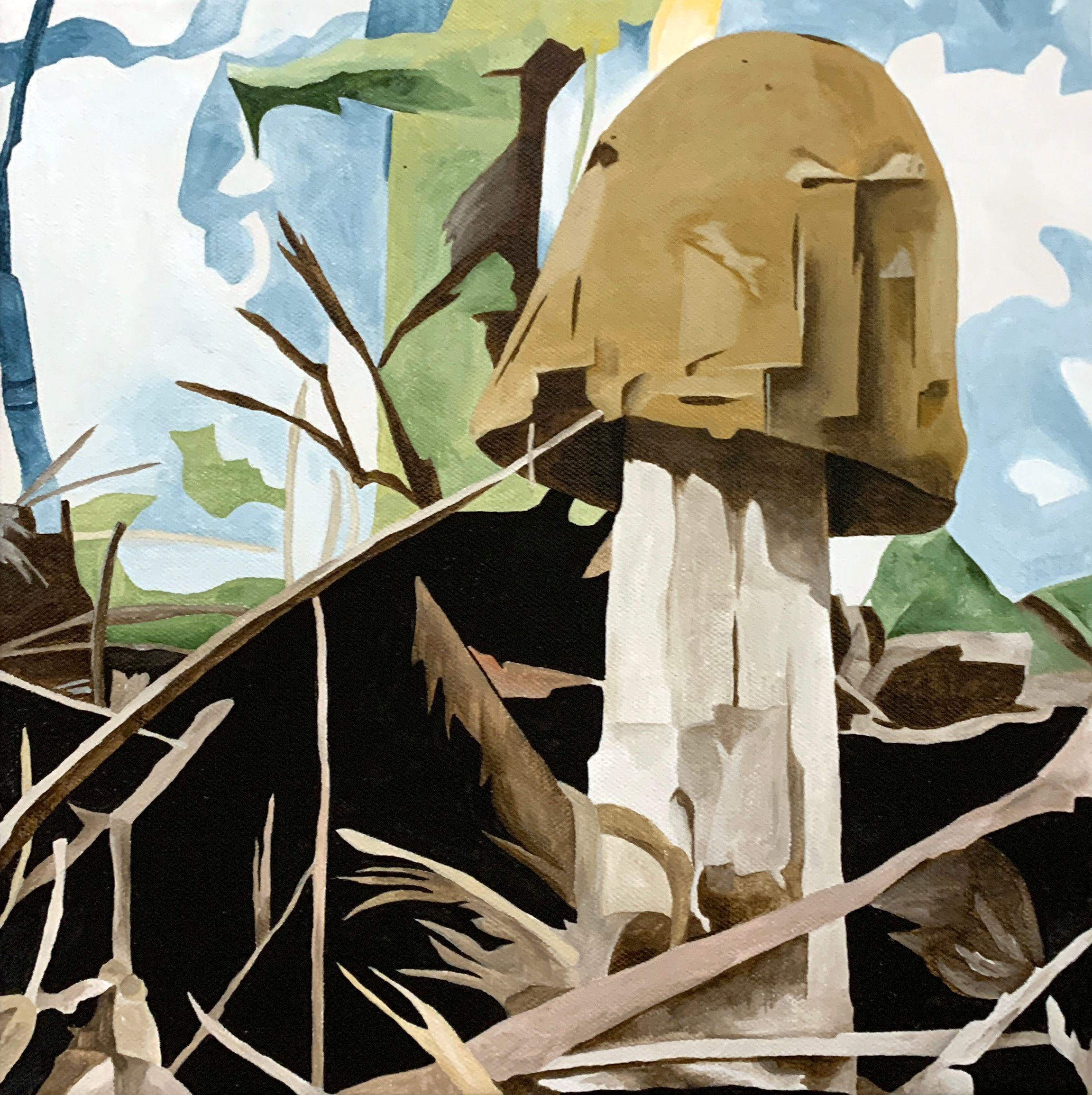 Grundy Amanita Blusher