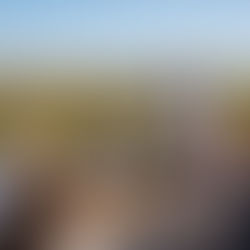 Lisbon wine tour vineyard tasting