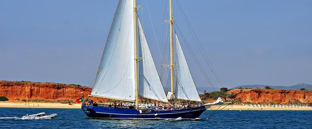 condor-5.jpg