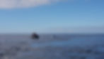 20191024_104951