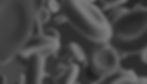 shutterstock_778228636.GREYjpg.jpg