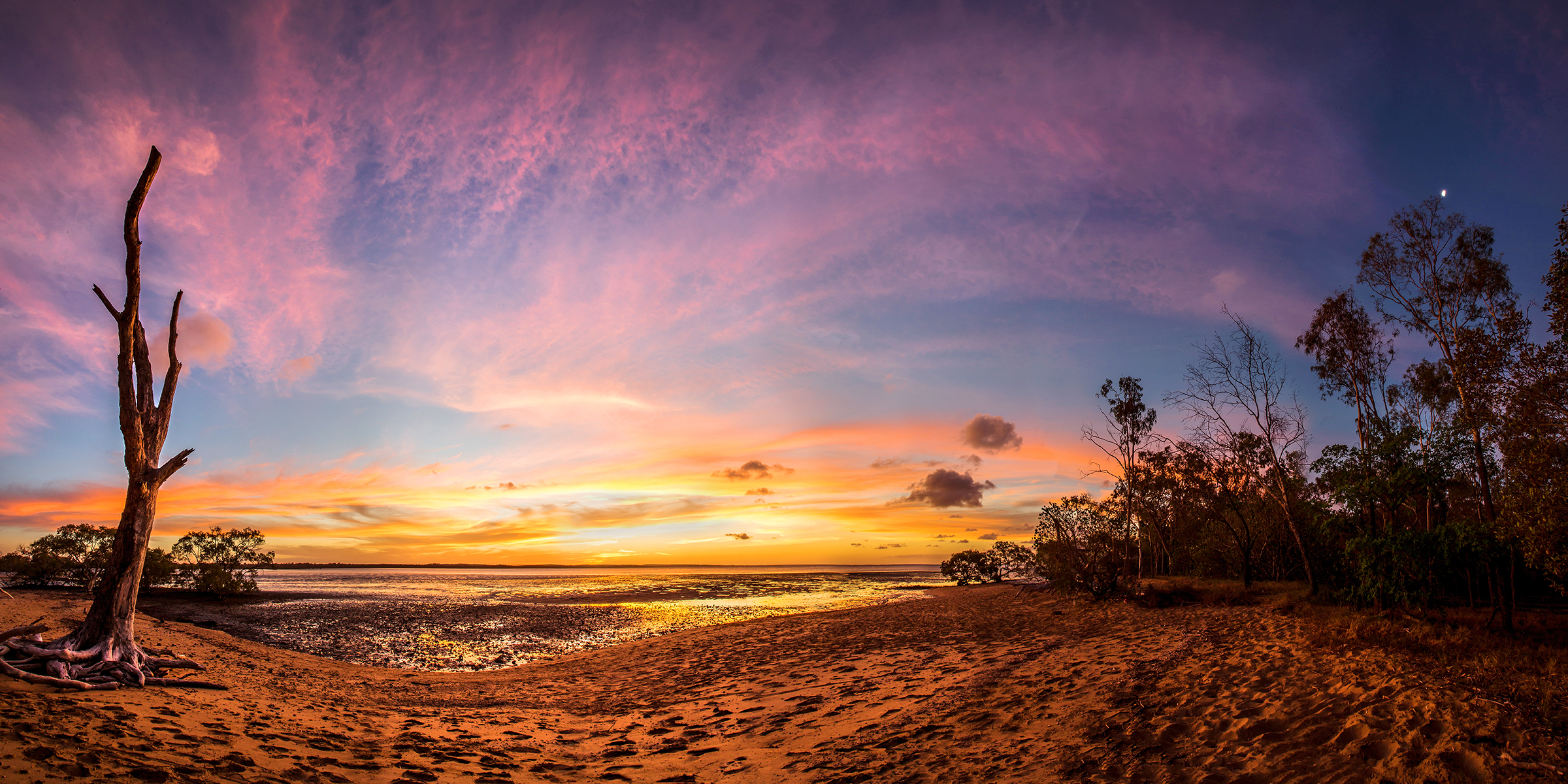Summer Sunset Show