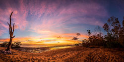 Summer Sunset Show