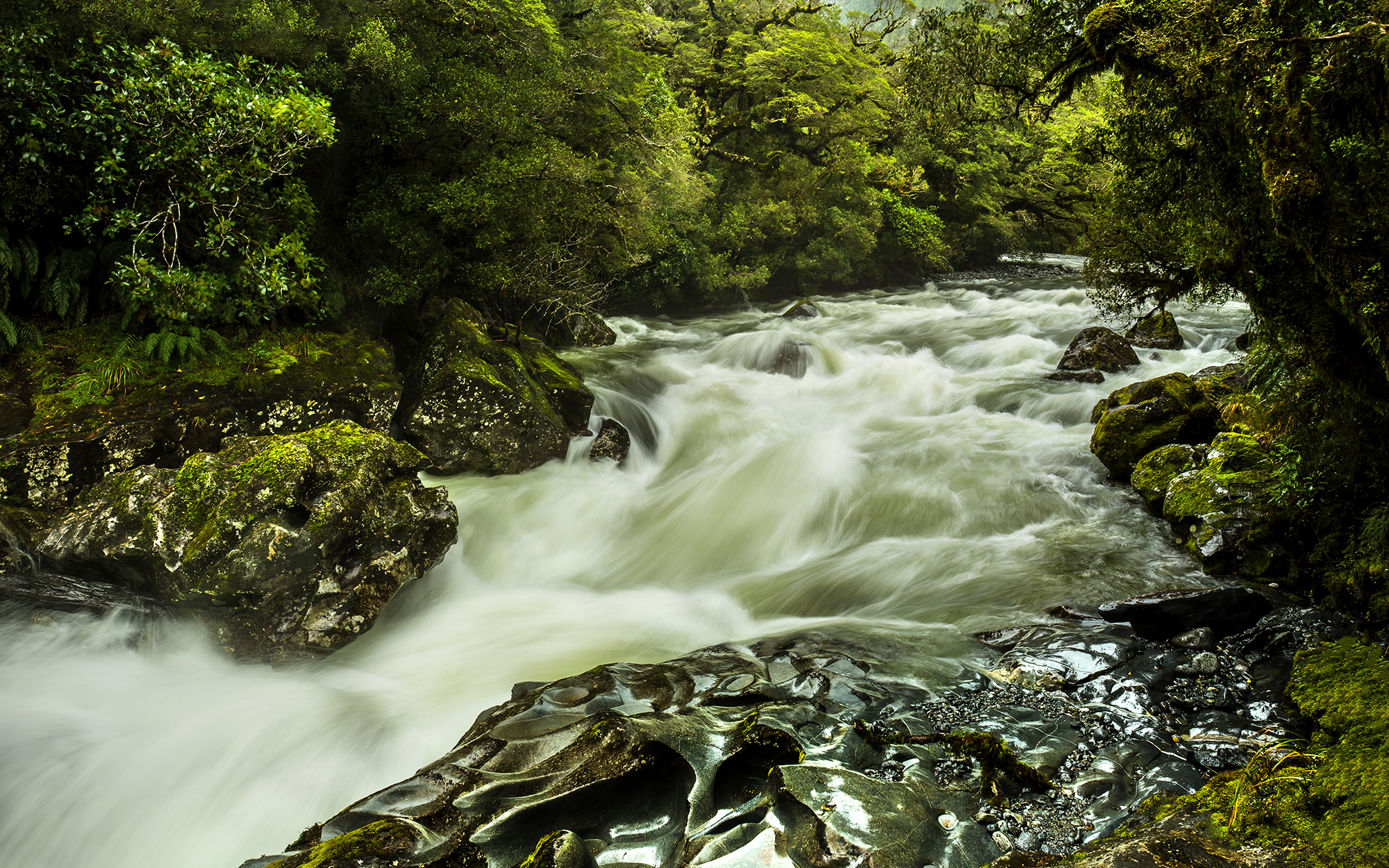 The Chasm