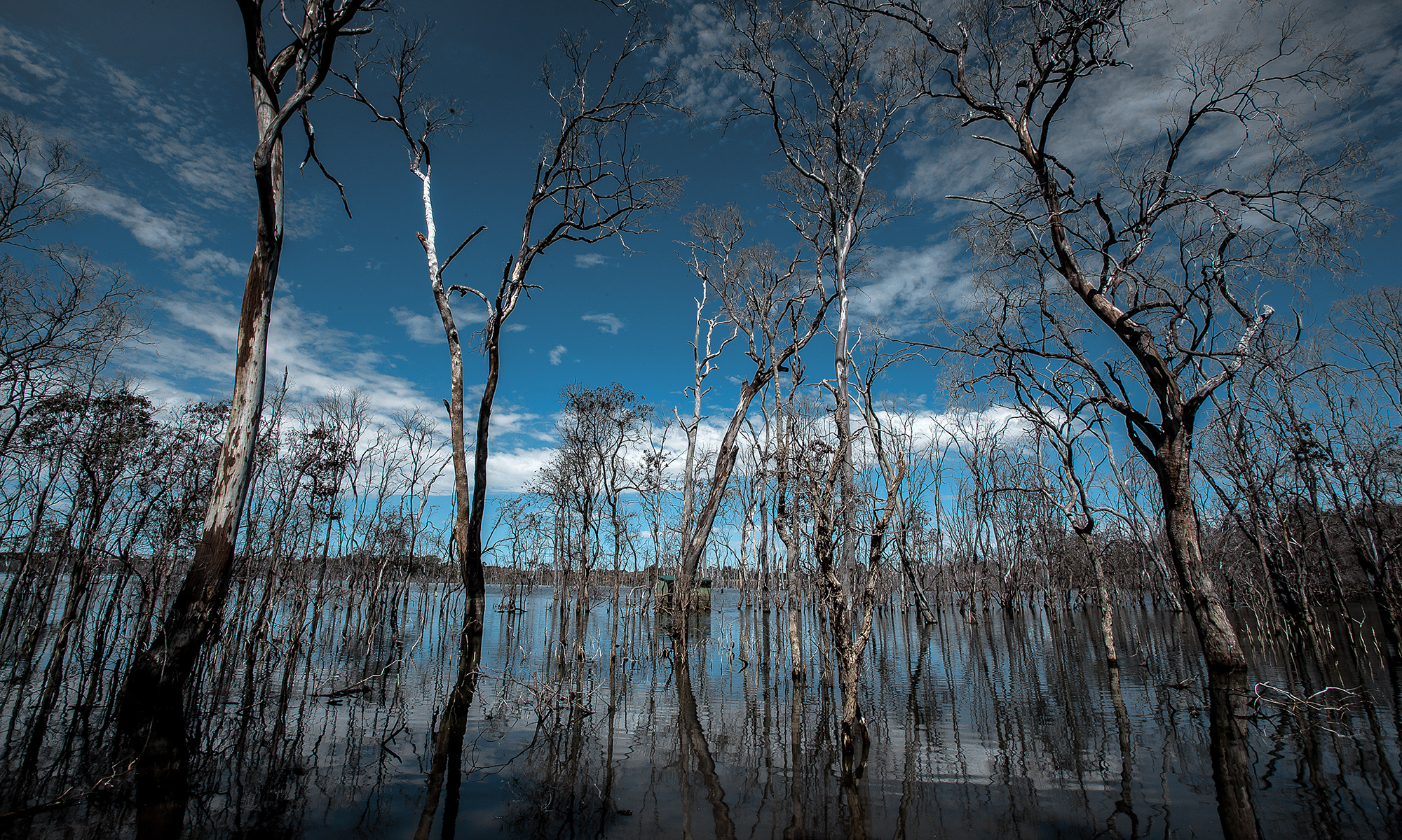 Wooroolin Wetlands