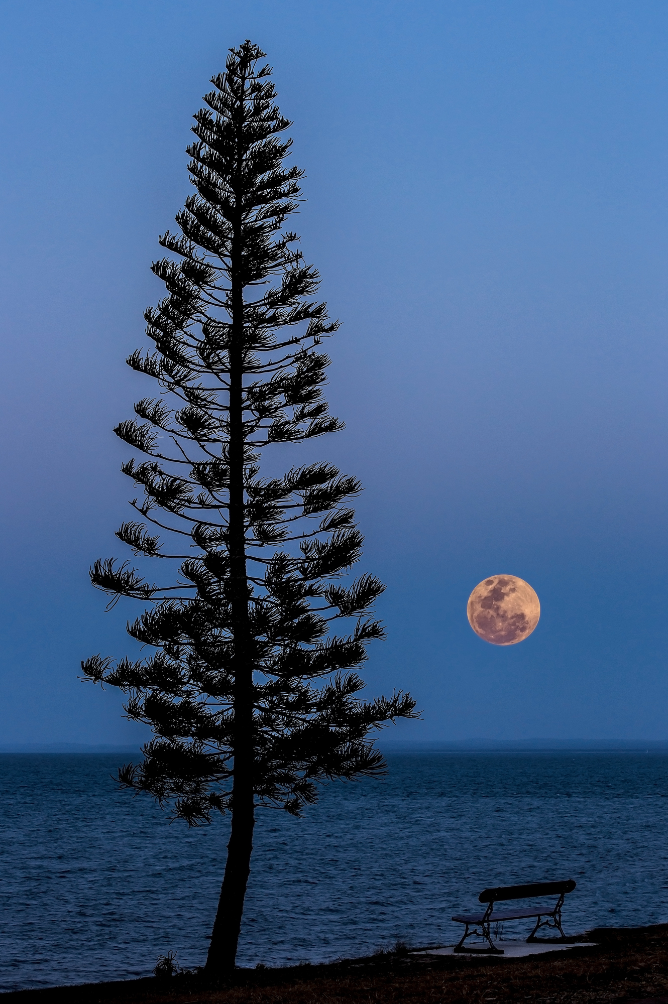 Spring Moonrise