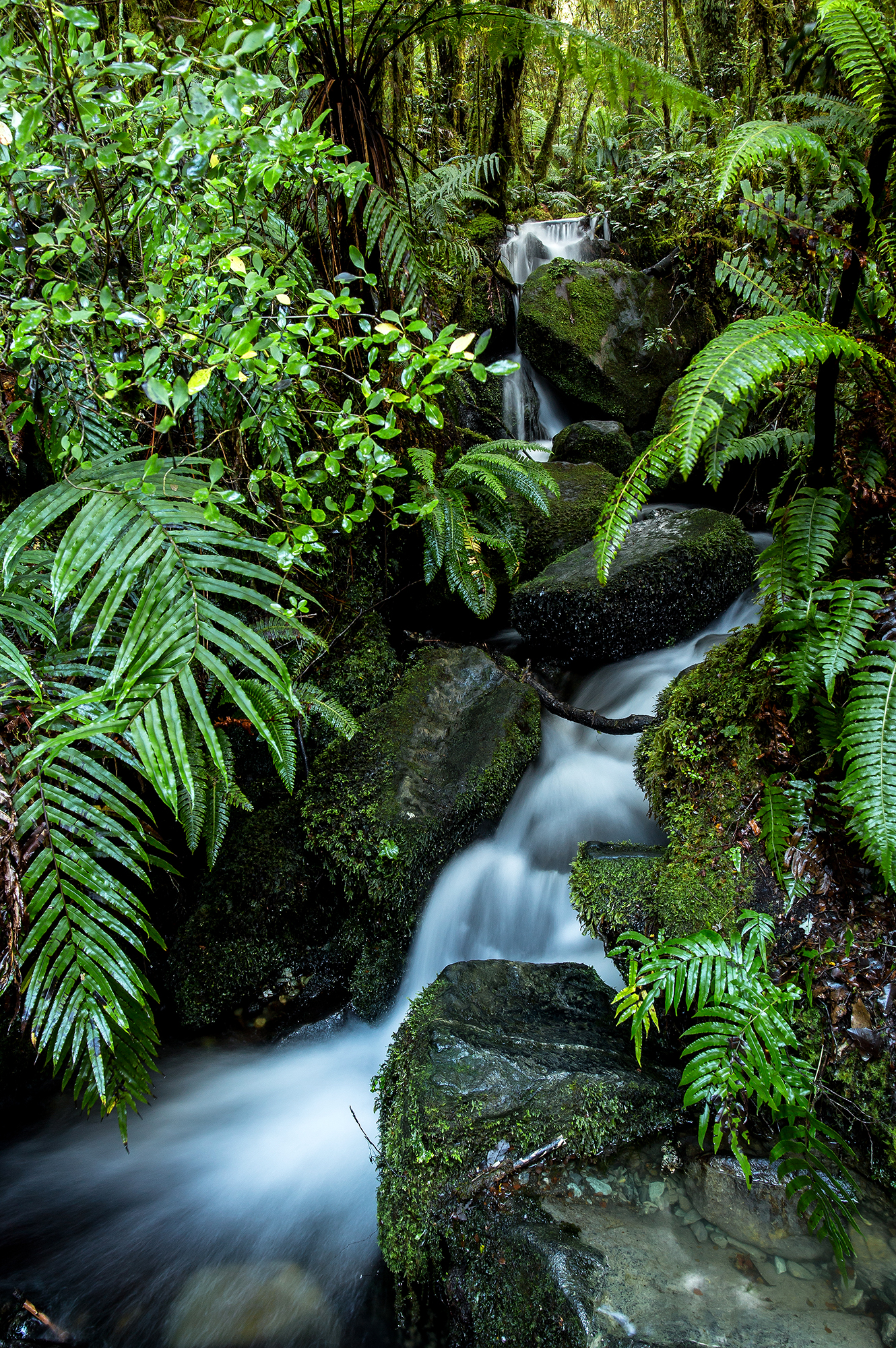 Refreshing at The Chasm