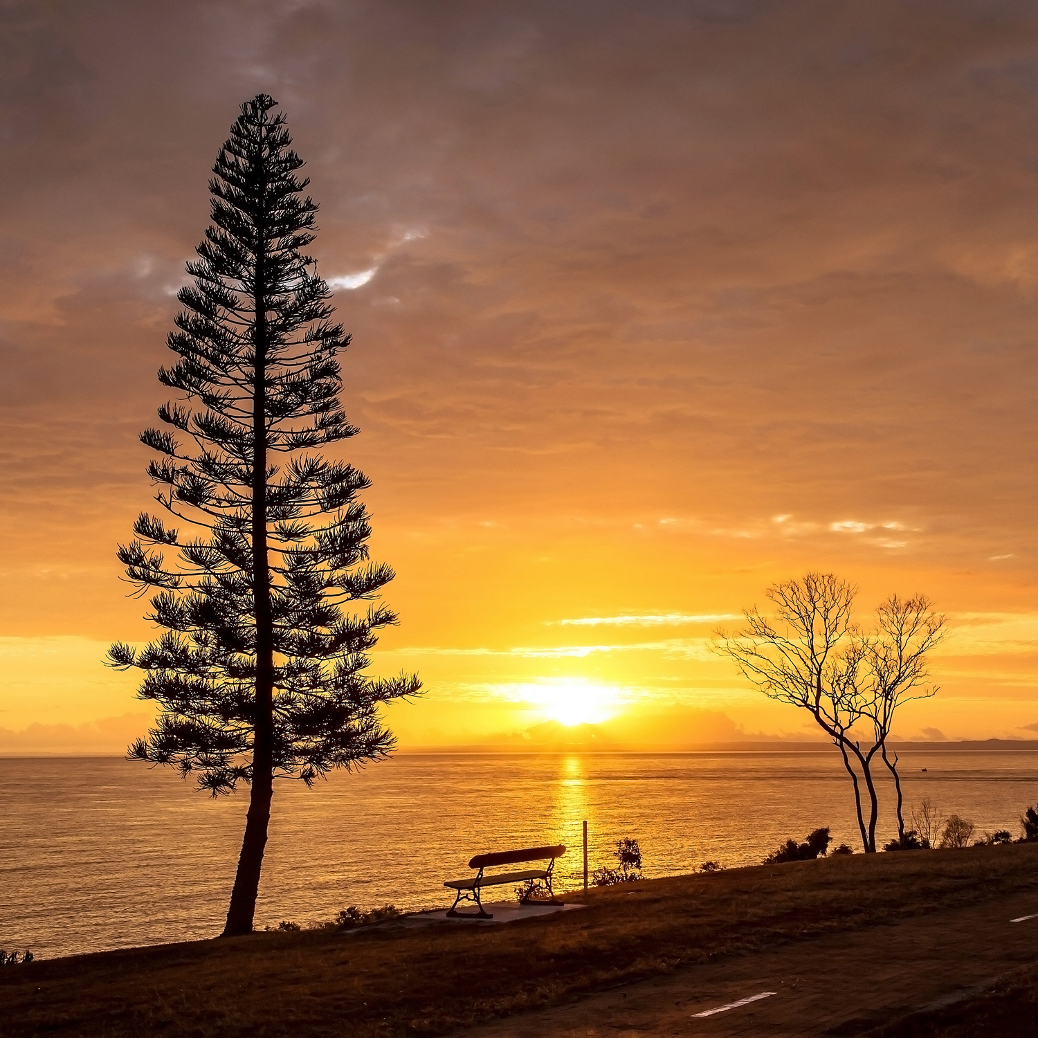 Winter Sunrise