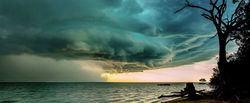 The Hail