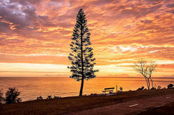 Winter Morning Twilight