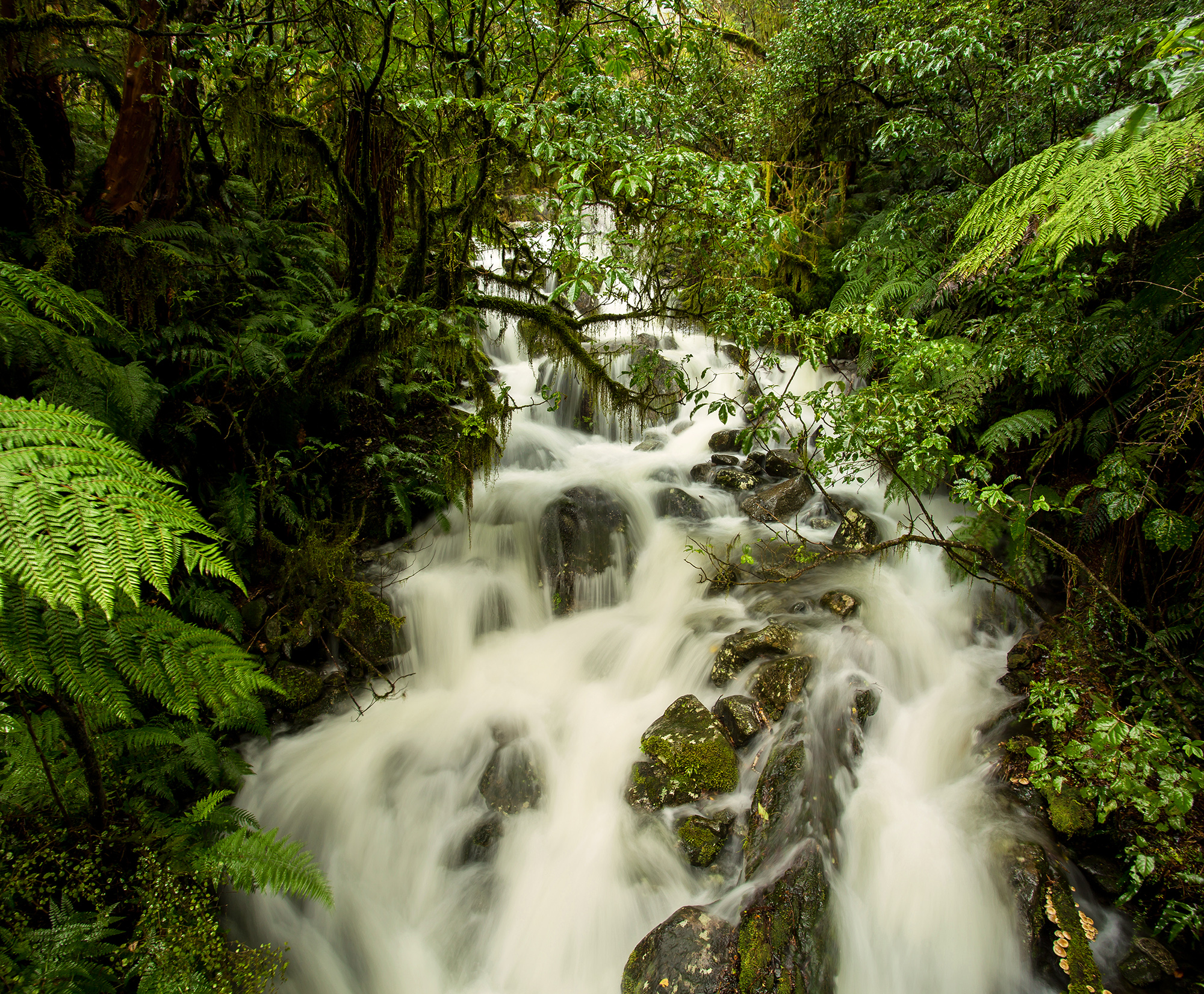 Rain Excess at The Chasm