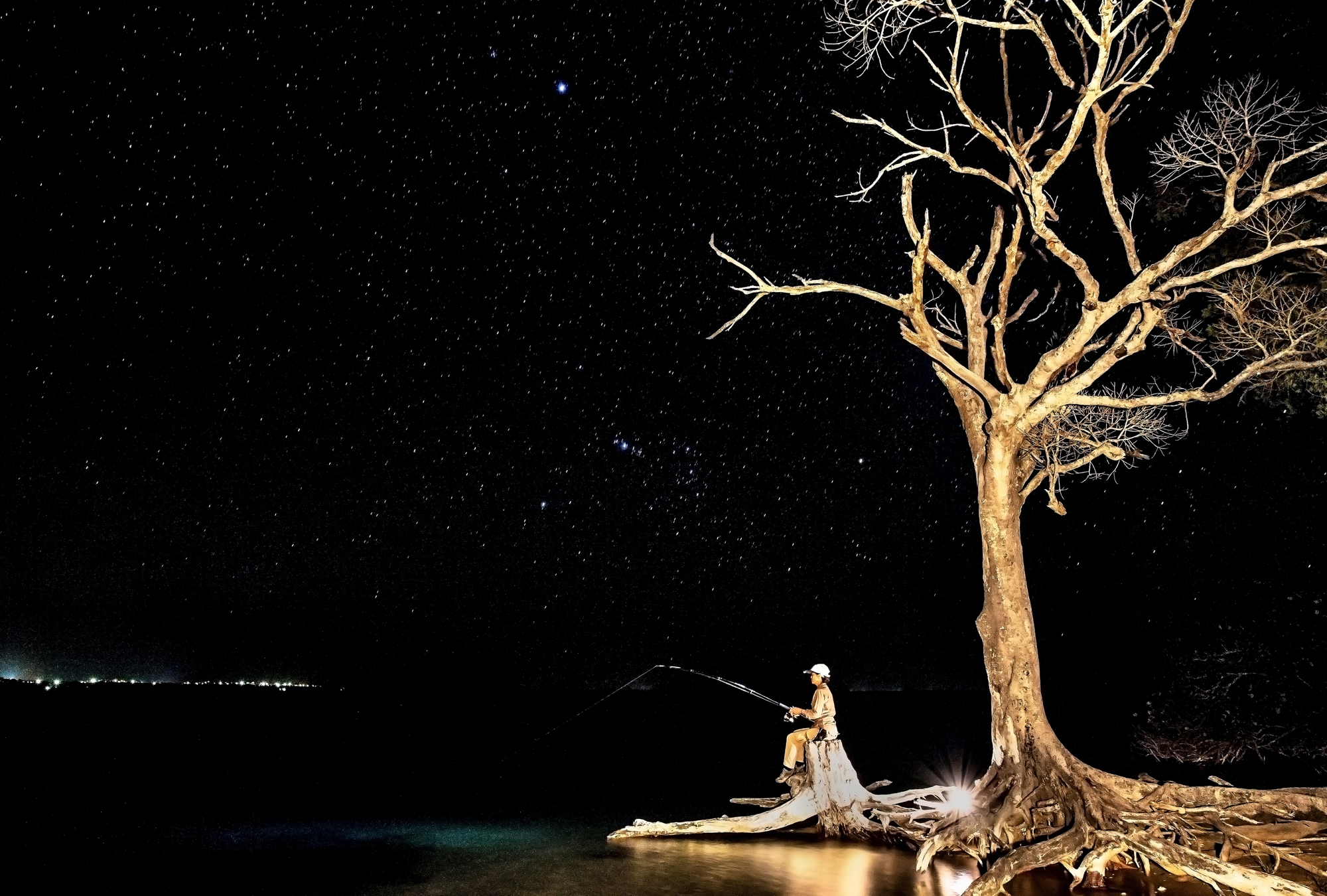 Under The Stars