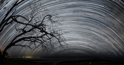Spring Star Trails